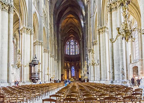Fond photographique église 2,5x1,8m en tissu décor de château doré pour studio photo