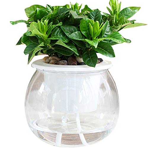 Petty Well Macetas con sistema de autorriego, diseño redondo, maceta suculenta para interior, jardín de casa, moderno y decorativo