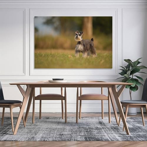 Poster Schnauzer de qualité supérieure - Impression sur toile d'art 60x90 - 5