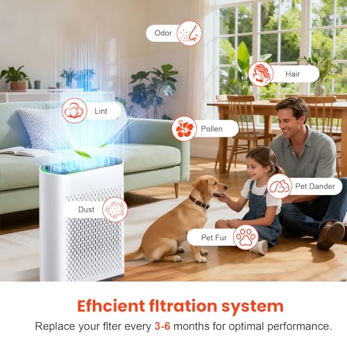 Image of 2 Pack HAP602 Replacement Filter for ECOSELF HAP602 HAP602WF Air Purifier | 3-in-1 True HEPA Activated Carbon High-Efficiency Filter for Home Large Room