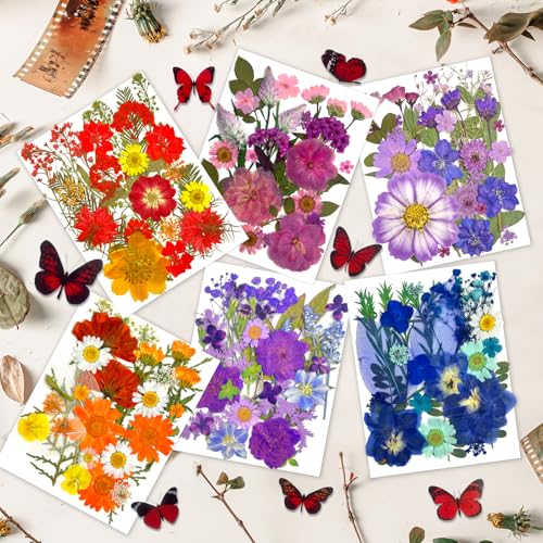 Image of 207 Pcs Dried Pressed Flowers for Crafts, Dried Pressed Flowers for Resin, Bulk Natural Dried Flowers Kit with Butterfly Stickers&Tweezers for DlY Resin Molds, Candles, Soap,Jewelry Making, Art Crafts