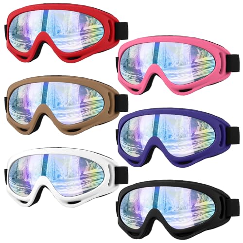 Hoemwarm 6 Pack Ski Goggles