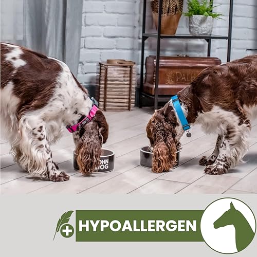 John Dog Hundenassfutter Pure Black Hypoallergenic Pferdefleisch - Getreidefreies Monoprotein Nassfutter für empfindliche Hunde - Hundefutter ohne Huhn, unterstützt Haut und Fell 6 x 400g