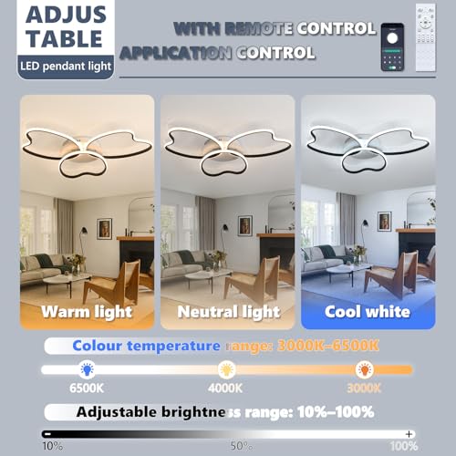 Lampe originale de plafond grand format noir 75W éclairage design moderne