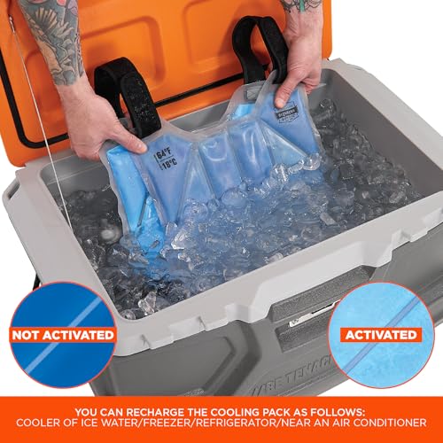 Image of Ergodyne 6210 Phase Change Lightweight Cooling Ice Vest, Cooling Relief for All Environments, Cooling Towel Included