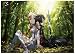 Anime Sword Art Online - High Grade Laminated Poster