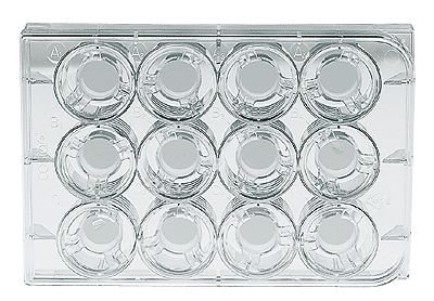 Corning Soportes permeables 3460, placa de 12 racimos de 0,4 um PES; 48/Cs