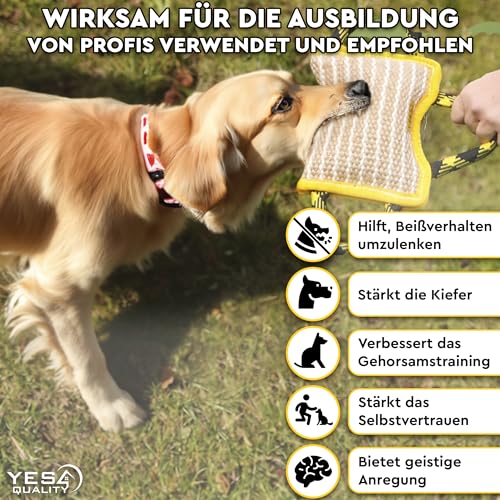 Hundebisskissen 25 x 18 cm mit 3 Nylongriffen, Kauspielzeug für Hunde für Sport und Training, Zerrspielzeug für interaktives Spielen von Yes4Quality
