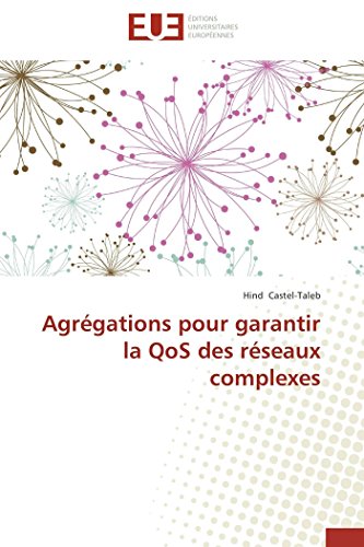 Agrégations pour garantir la QoS des réseaux complexes (Omn.Univ.Europ.) (French Edition)