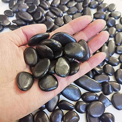 M--jump 5 Pounds 3/8" Gravel Size Natural Decorative Polished Black Pebbles Stone,Small Ornamental River Pebbles Rocks for Succulents, Vases, Aquariums and Terrariums etc.