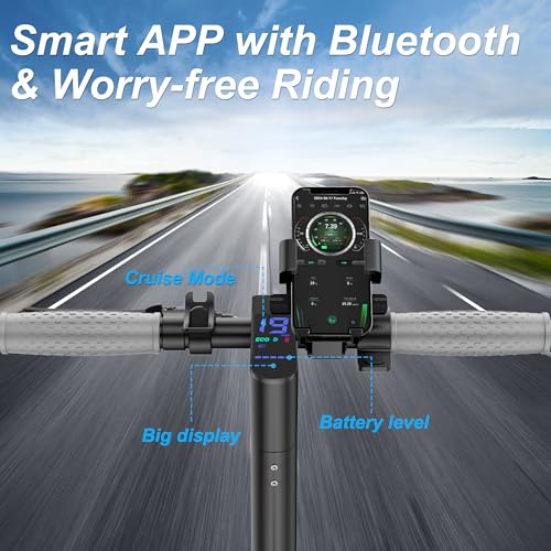 Roinside Electric Scooter - 8.5