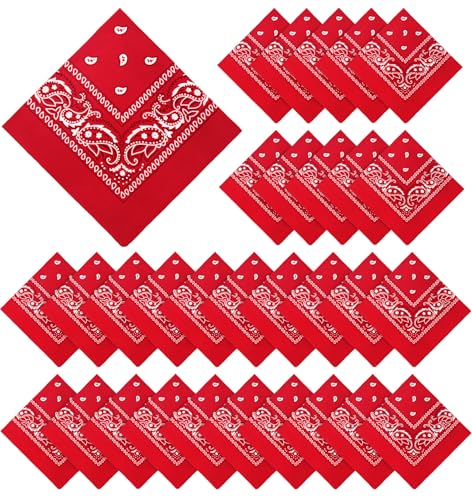 YSense 30 Pieces Paisley Bandana Unisex Multi-Purpose Bandanas Bulk Cowboy Headbands Square Scarf Head Wrap for Women Men