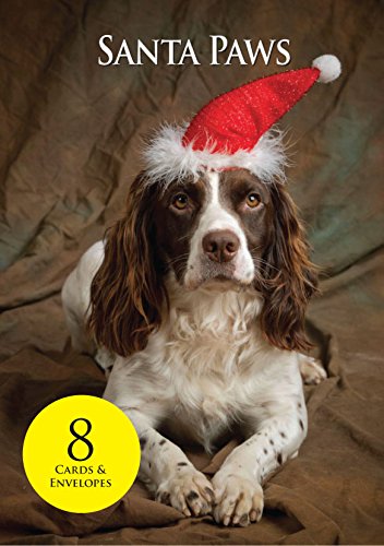 Springer Spaniel Tarjetas de Navidad. Paquete de 8 Santa Paws perro tarjetas de Navidad con sobres por Charles Sainsbury-Plaice.