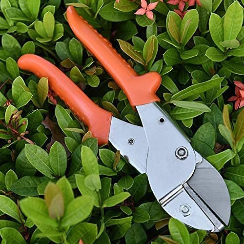 Potatore Cesoie da potatura Forbici Orticoltura Cesoie per Alberi da frutto Attrezzi da Giardino Bonsai Cesoie da Giardinaggio Attrezzo per innesto Diserbatore