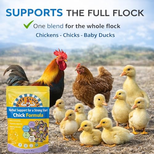 Image of Buff Clucks Chick Formula Herbal Supplement for Baby Chicks - All-Natural Botanical Blend for Daily Wellness, Feather Quality - Plant-Based Herbs for Coop Snacks - Calendula, Oregano, Lemon Balm, USA