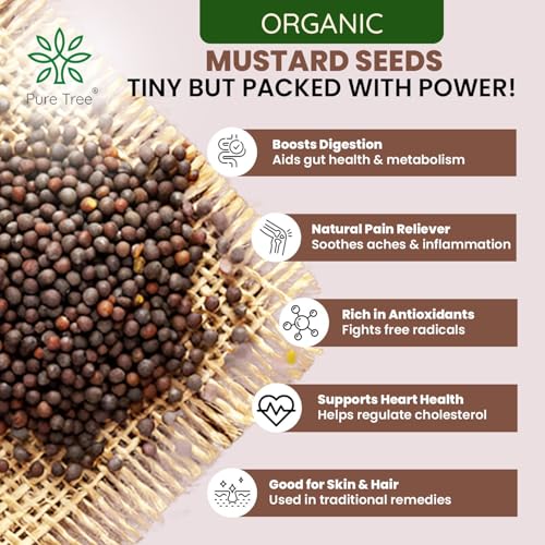 Image of Pure Tree Certified Organic Mustard Seeds Big | 5 Kg / 5000 g | Black Mustard Rai Seeds Big | Sasive seeds Whole Kali Rai Dana | Sarson dana Indian Spice Gluten Free