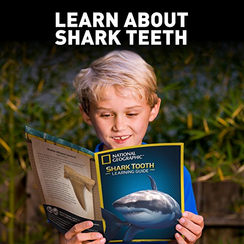 National Geographic Dig Kit: Shark Teeth Fossils, Archaeology & Marine Biology for Kids - Image 4