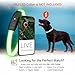 PAJ GPS Dog Tracker - 4G Real-Time Tracking & Runaway Alerts - Waterproof, Long-Range, Smart App Monitor Health & Activity - Fits Any Collar, Mini Device Navigator Chip - Subscription Required - Black