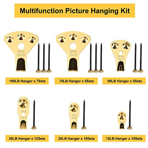 125 Pcs Heavy Duty Picture Hanging Kit With Nails for Wooden/Drywall - Professional Hangers for Canvas, Office Pictures, Clock, House Decoration - Holds 10-100 lbs