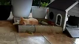 Review Image by HTEL HTEL