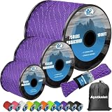 750Ib Reflective Paracord Rope,100', 4mm 11 Strand Parachute Spool Cord with Collecting Bag, para Cord Lanyard for Hammock, Camping, Hiking