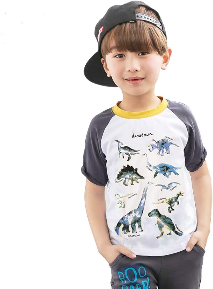 Julerwoo Boys Cotton Long Sleeve T-Shirt Dinosaur Printed Crewneck Shirts Tops for Toddler Kids - Image 7