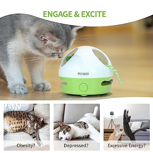 Petgeek Interactive Cat Toy, Hide Mouse Cat Toy With Squeaky Mouse, Electronic Automatic Cat Toys With Catnip Filled Hidey Mouse, Cat Toys Interactive For Indoor Cats Exercise & Game #TOP5