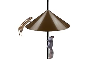 19 Inch Wide Squirrel Shield: Protect Your Bird Feeders