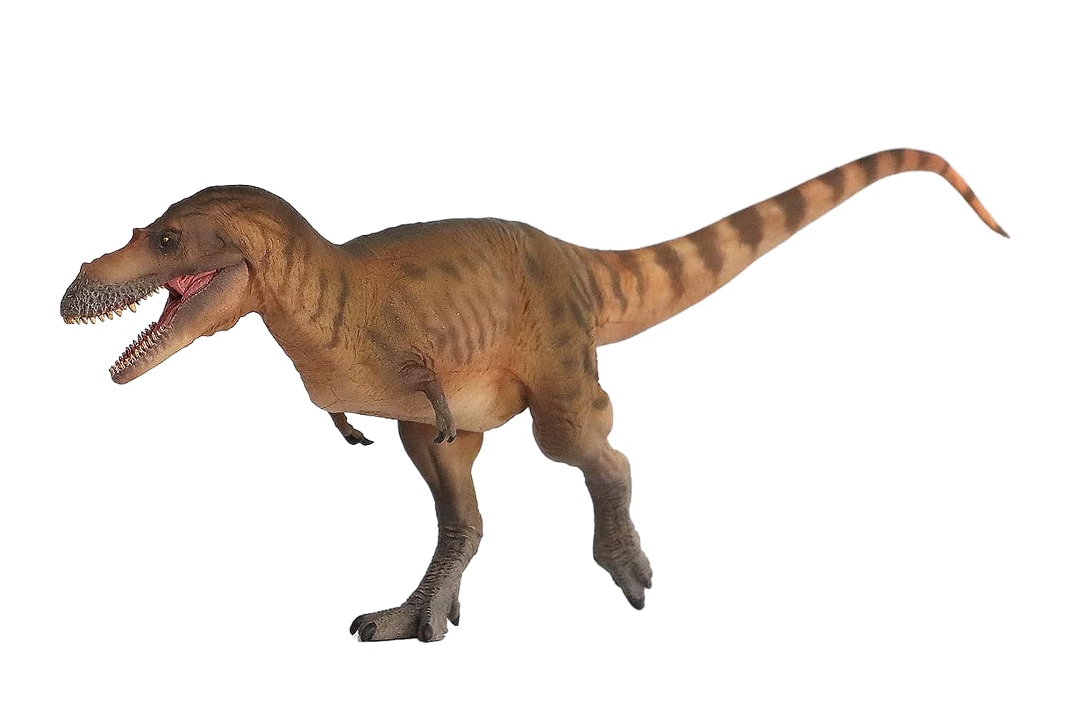 WLNTDOLA 72 Albertosaurus Wally Figure Tyrannosauridae Prehistoric PVC Science Model Realistic Animal Decoration