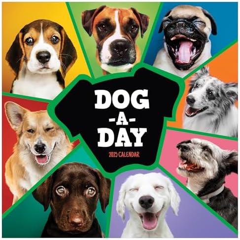 TF PUBLISHING 2025 Dog-A-Day Wall Calendar - Large Grids for Appointments and Scheduling - Vertical Monthly Wall Calendar 2025 - Home & Office Organization - Premium Gloss Paper - 12"x12" image 4