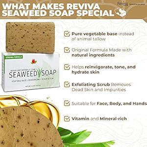 Reviva Seaweed Soap - 12 Pack - Organic Seaweed Face Scrub and Exfoliating Body Scrub Soap Bar - 4.5 oz. Vegetable Base Natural Bar Soap and Seaweed Bath Detox Soap Made in the USA Reviva Seaweed Soap 12 Pack Organic Seaweed Face Scrub and Exfoliating Body Scrub Soap Bar 45 oz Vegetable Base Natural Bar Soap and Seaweed Bath Detox Soap Made in the USA