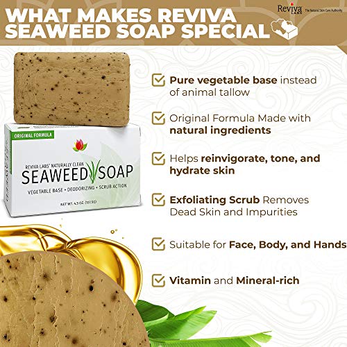 Reviva-Seaweed-Soap-12-Pack-Organic-Seaweed-Face-Scrub-and-Exfoliating-Body-Scrub-Soap-Bar-45-oz-Vegetable-Base-Natural-Bar-Soap-and-Seaweed-Bath-Detox-Soap-Made-in-the-USA Reviva Seaweed Soap 12 Pack Organic Seaweed Face Scrub and Exfoliating Body Scrub Soap Bar 45 oz Vegetable Base Natural Bar Soap and Seaweed Bath Detox Soap Made in the USA