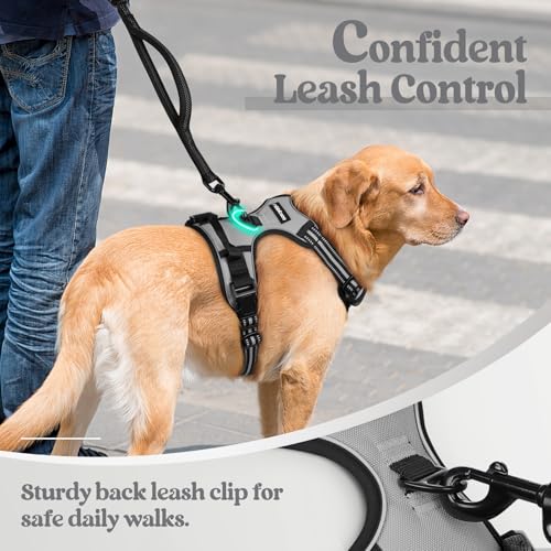 Image of rabbitgoo Dog Harness No Pull with 2 Leash Clips, Adjustable Soft Padded, Reflective Oxford No Choke Pet Vest with Easy Control Handle for Large Dogs, Grey, XL