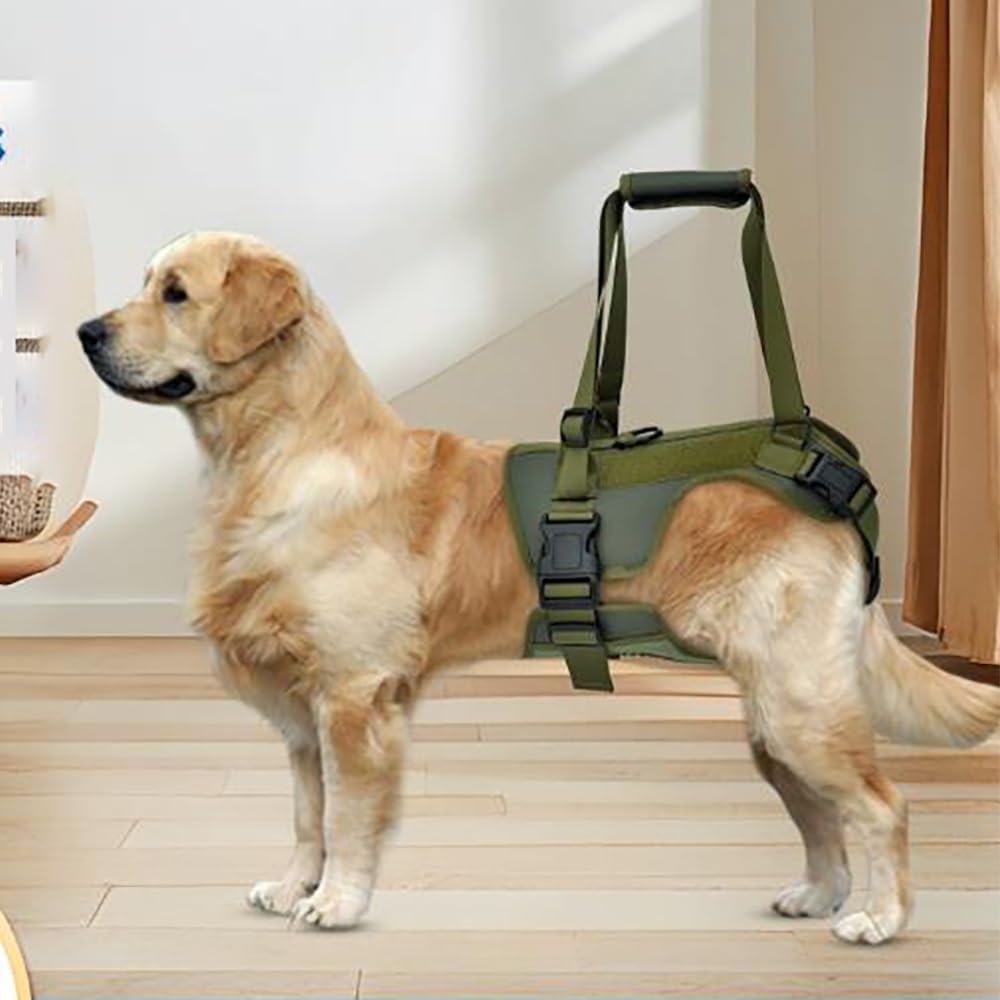Dog Lift Assist Harness – Rehabilitation Sling for Dogs with Handle, Adjustable Straps & Soft Lining, Help Up Stairs/Car, Rear Leg Support for Arthritis/IVDD