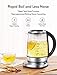 Electric Tea Kettle 1.7L Glass Teapot with One Touch Temperature Control, Food Grade Stainless Steel Inner Lid, Infuser & Bottom, 120min Keep Warm & Boil Dry Protection, BPA free