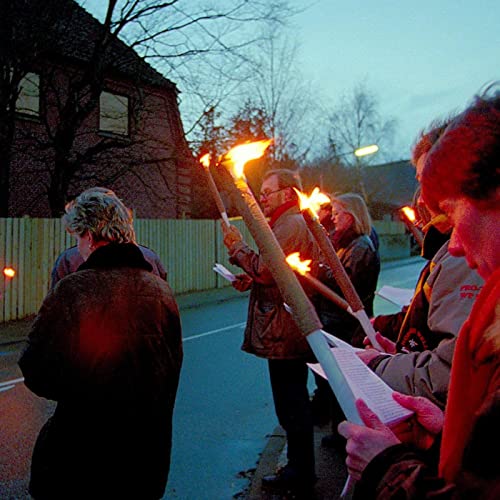 #9: Skansen mod nazisme