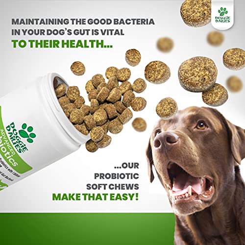 Doggie Dailies Probiotics For Dogs, Advanced Dog Probiotics With Prebiotics, Promotes Digestive Health, Supports Immune System And Overall Health (Duck) #TOP7