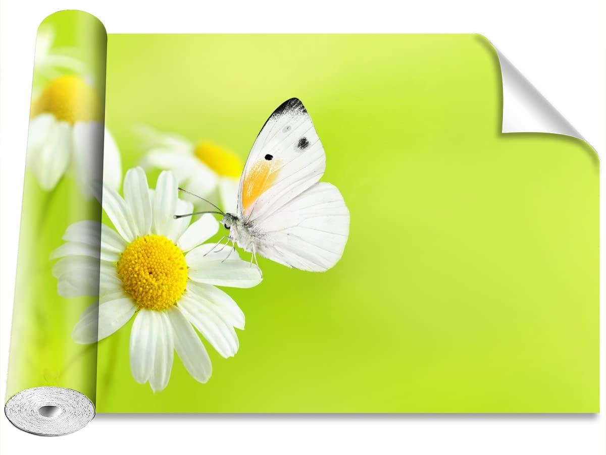 Papier Peint Auto-Adhésif Papillon et camomille Tulup 250x104cm pour Décoration Murale