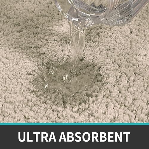 Image of Soft Absorbent Doormat for Home Entrance, Anti-Skid Washable Door Mat for Bathroom, Kitchen & Living Room, Quick Dry Floor Mat, Beige