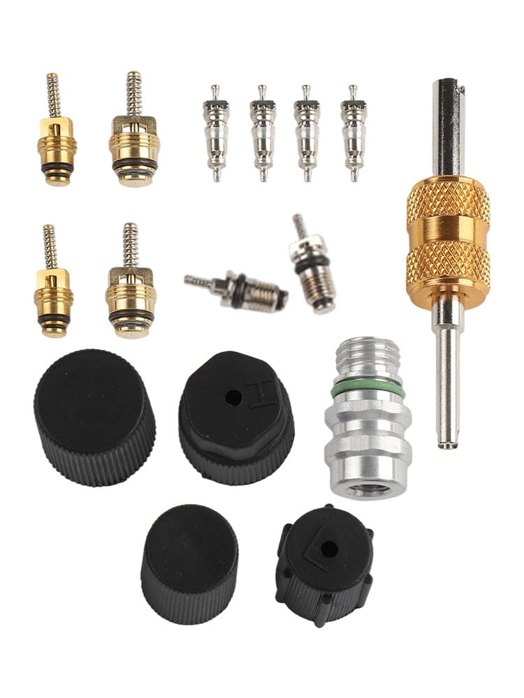 Kit nucleo valvola CA in ottone per R12 per refrigerazione R134a, nucleo stelo valvola aria condizionata con rimozione a doppia testa e polvere