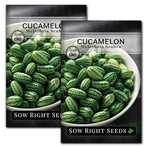 Sow Right Seeds Cucamelon (2)