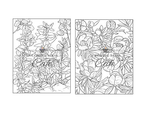 100 Beautiful Flowers Coloring Book: An Adult Coloring Book Featuring 100 Beautiful Flower Designs I
