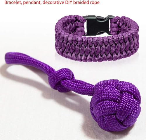 Wandefol 12 Farben 10 Fuß Paracord Schnur 550 Multifunktions Paracord Seile Set mit 24 Schnallen für DIY Handwerk, Survival, Camping, Alle Altersgruppen