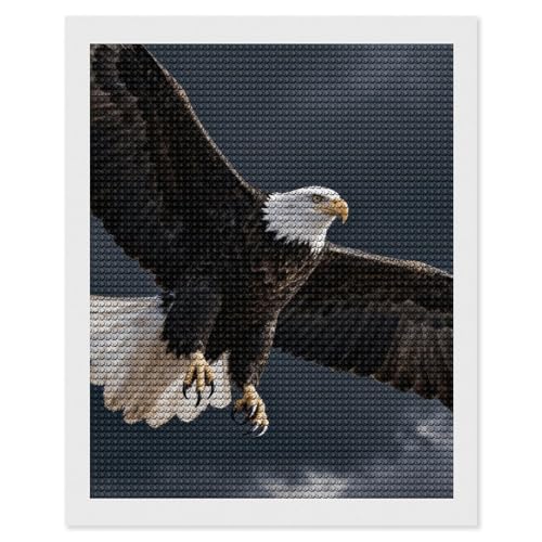 Kit de peinture diamant 5D aigle maccbn 40x50 cm avec outils pour debutant