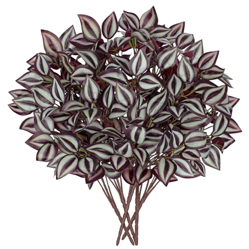 Hollyone Wandering Jew 5 Bundles