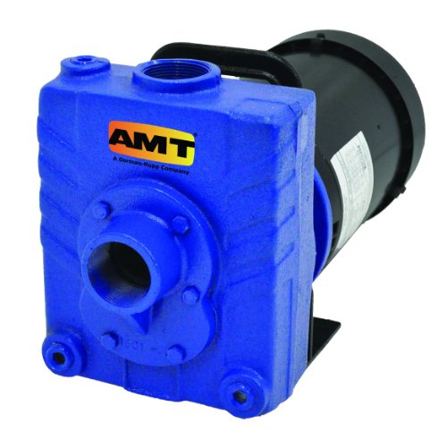 AMT Pump 282B-95 Self-Priming Centrifugal Pump, Cast Iron, 2 HP, 3 Phase, 230/460V, Curve C, 1-1/2