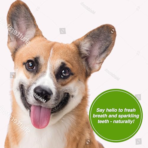 Pure-and-Natural-Pet-Organic-Dental-Solutions-USDA-Certified-Organic-Plaque-Tartar-Fighting-Get-Clean-Mint-2-oz