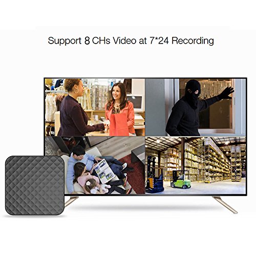 Cloud Box IP Camera Recording Storage Device,Compatible with Ebitcam MIPC Camera KAMTRON Lefun Conico Vimtag,8 Channels 1080P Video Record,Mobile Playback (1TB Hard Drive)