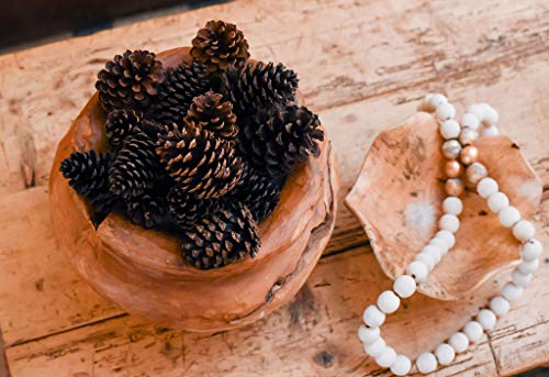 24 Pinecones 3" To 4” Tall Bulk Package All Natural, Bug Free, And Perfect For Crafting For Home Accent Decor Pine Cones - Unscented (24) #TOP4