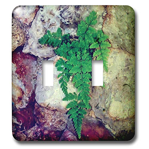 Placa para interruptor de luz 3dRose lsp_291752_2 con acabado resistente y elegante 2